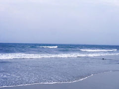 -东海岛旅游度假区