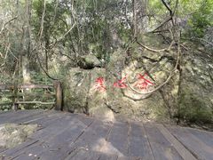 -雁南飞茶田景区