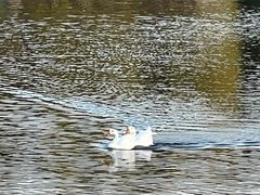 -西安汉城湖景区