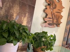 -白马宴·椒麻鸡(新华南路店)