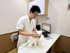 -瑞派中心宠物医院·CT·核磁·神经专科