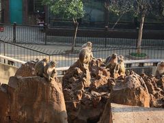 -昆明动物园
