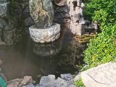-上海醉白池公园