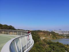 -飞凤山奥体公园