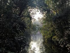 -上海滨江森林公园