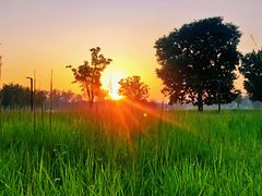 -汉长安城未央宫国家考古遗址公园