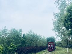 -永定河休闲森林公园