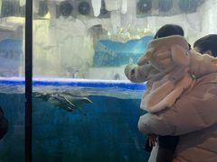 -华夏文旅海洋公园