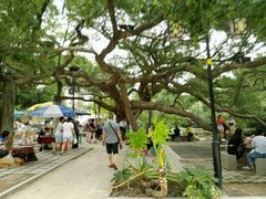-小洲村