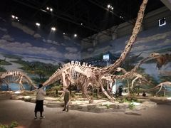 -自贡恐龙博物馆