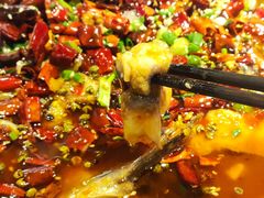 -向川南·水煮鱼·川菜(和平里店)