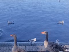 -海德公园