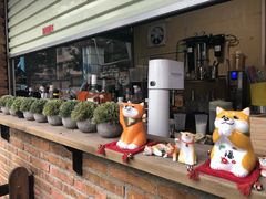 -柴犬高等学院·狗咖·柴犬售卖·宠物训练