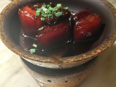 -佬肥猫(国华广场店)