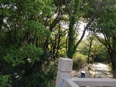 -苏州上方山国家森林公园