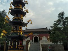 -龙口南山旅游景区