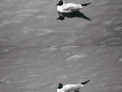 -黄河三峡风景名胜区