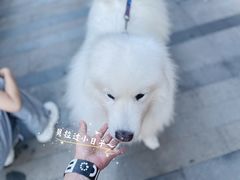 -Blac+Blac(中海环宇荟店)