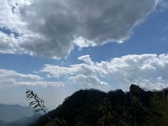 -大岭沟猕猴桃谷风景区