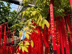 -呀路古热带植物园