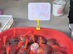 -葑门横街
