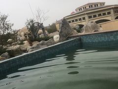 -仁爱团泊湖温泉中心