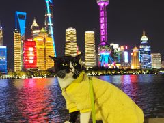 -上海港国际客运中心