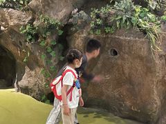 -中国杭州低碳科技馆
