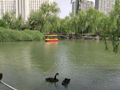 -西苑公园