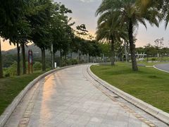 -白石龙音乐公园