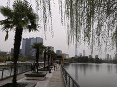 -白塘生态植物园