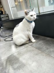 -M Hair造型