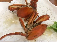 -友强·23年特色海鲜大排档(厦门店)