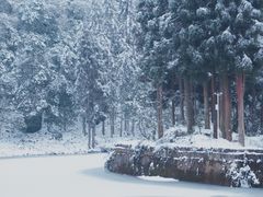 -龙苍沟森林公园