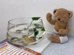 -水沐莲清瑜伽·普拉提