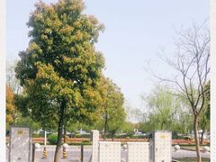-上海市浦东新区周浦医院-停车场