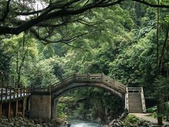 -广州市石门国家森林公园