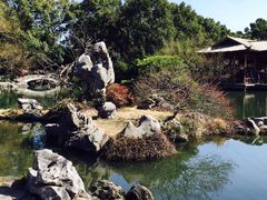 -西湖外事游船(花港观鱼码头)