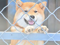 -萌兽医馆·眼科·异宠专科(三里屯店)
