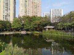 -四海公园(南山区)