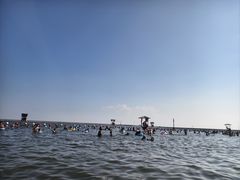 -碧海金沙