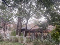 -天阳亲子广场(钱江新城店)