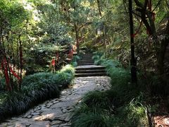 -梦姑塘文化公园