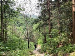 -素山寺森林公园