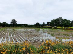 -嘉北郊野公园