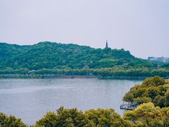 -杭州君悦酒店