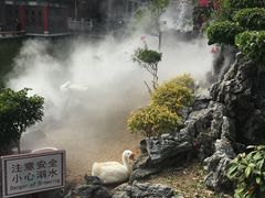 -广东圆玄道观