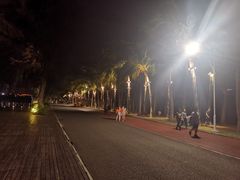 -万绿园