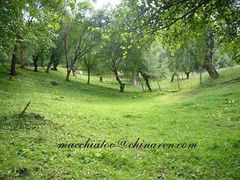 -互助北山国家地质公园漂流