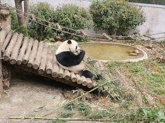 -黔灵山公园